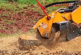 Reliable Henryetta, OK Tree Services Solutions